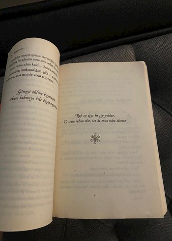 Yalnızlık Sek İçilir - Ahmet Demir - Görsel 2