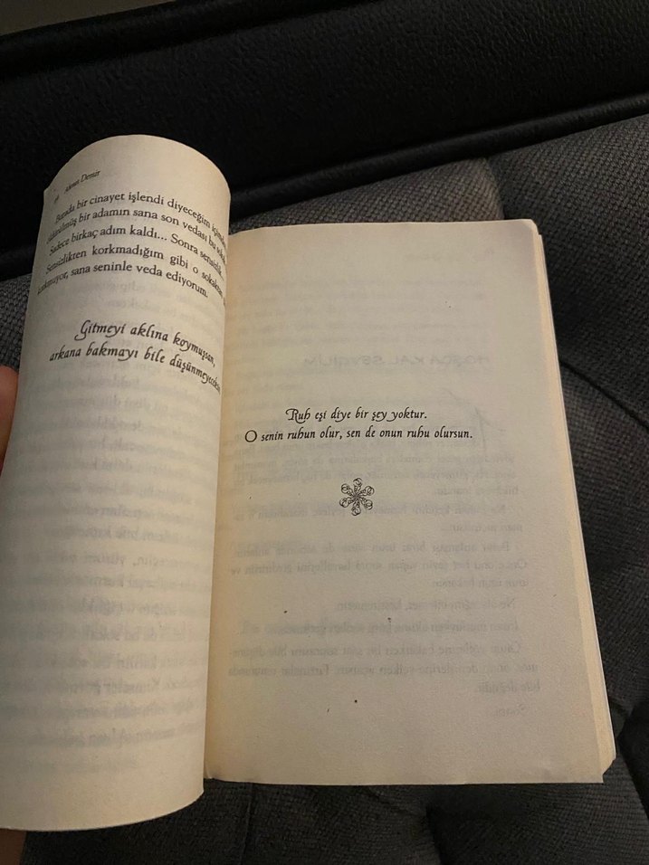 Yalnızlık Sek İçilir - Ahmet Demir - Görsel 2