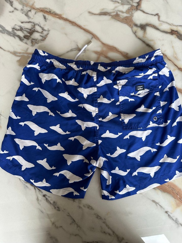 Erkek Çocuk Mavi Balina Desenli Deniz Şortu - Görsel 2