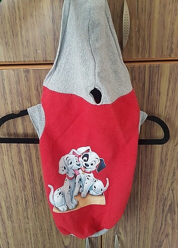 Köpek için sweet