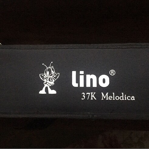 37K melodika tertemiz