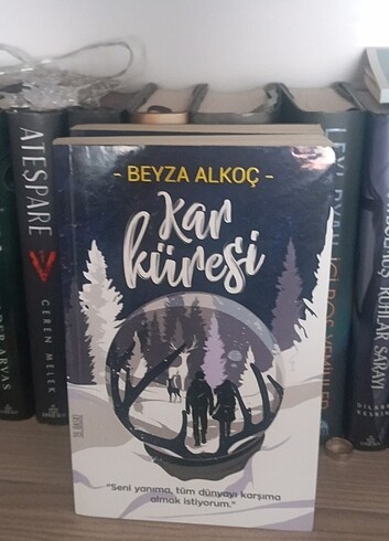 Kar küresi,Kar tanesi
