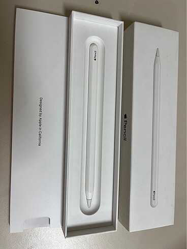 Beden Renk Apple 2. Nesil kalem
