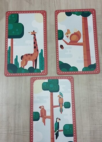 Tasarımcı 26×16 boyutu 3 lü set halinde.