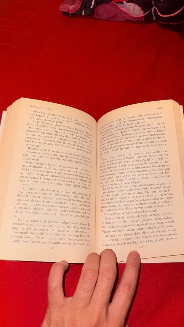 OSHO MARTILARI SEVEN ADAM - Görsel 3