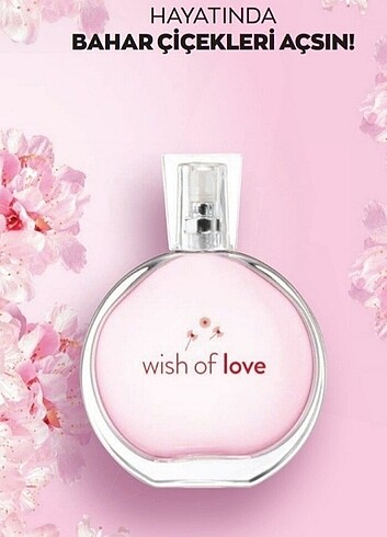 Wish of love kadın parfüm 