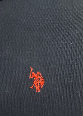US POLO ASSN TİŞÖRT - Görsel 2