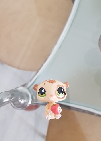 Littlest pet shop