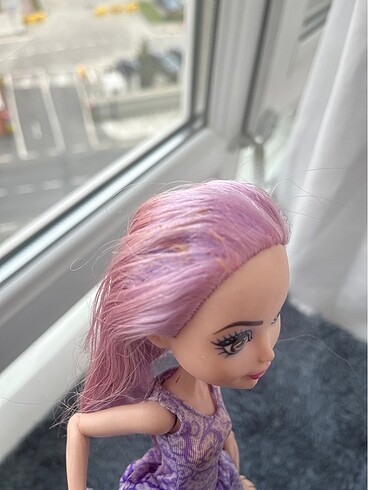 Beden Duchess swan