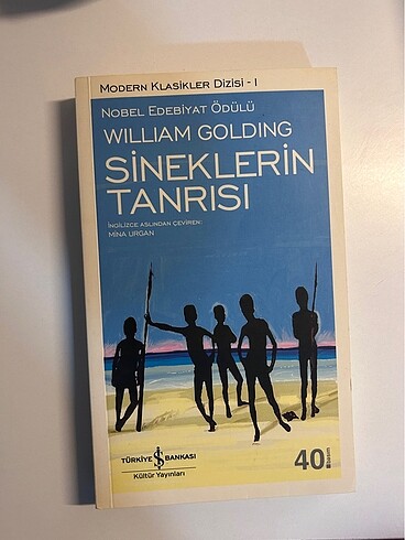 sineklerin tanrisi