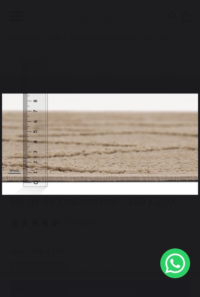 Normod -Bohem Tarzı Camel Renkli Margo Dokuma Halı 160x230 - Görsel 3