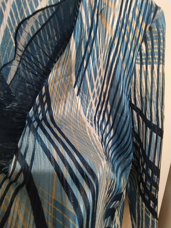 Mavi Pilili kol ve yaka detaylı vatkalı ceket - Görsel 4