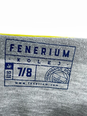 universal Beden gri Renk Fenerium T-shirt %70 İndirimli.