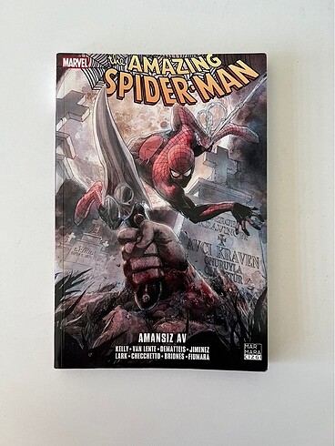 The Amazing Spider-Man 19