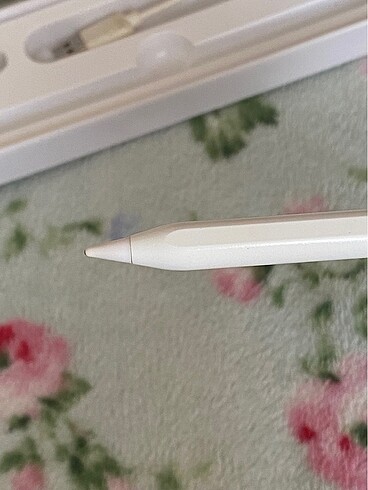 Beden Renk Apple Tablet Kalemi/