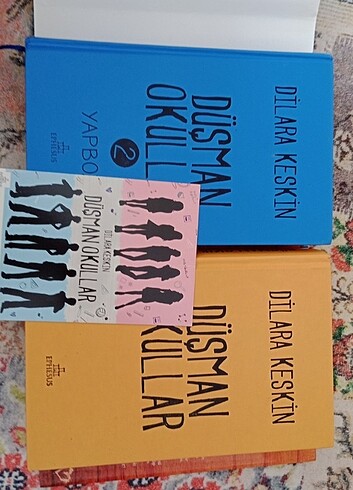 Düşman okullar