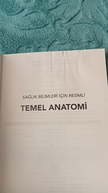 Anatomi kitabi