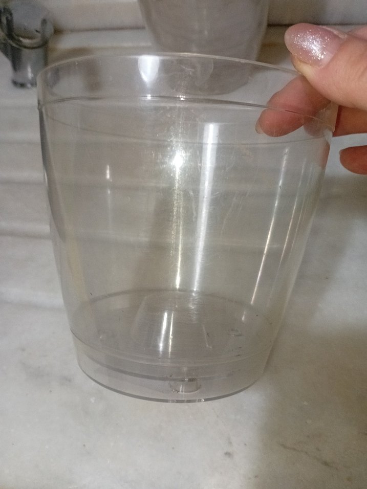 6 tane orkide saksısı - Görsel 3