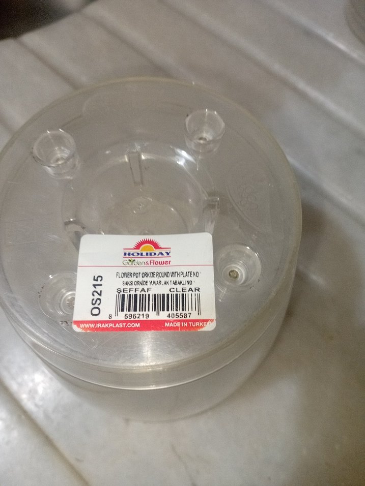 6 tane orkide saksısı - Görsel 4