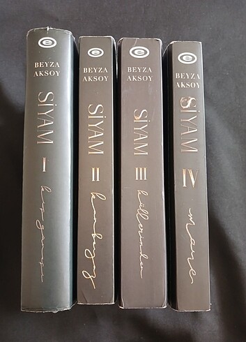 Siyam serisi