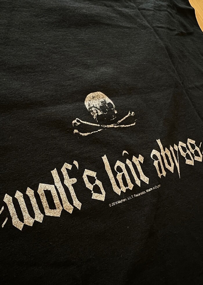 Mayhem - Fall of Seraphs Tshirt - Görsel 4