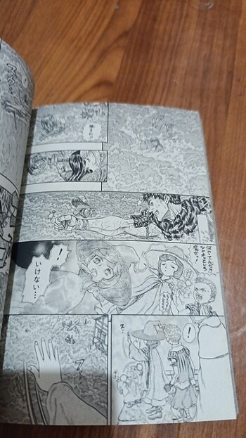  Beden Berserk 25 japonca