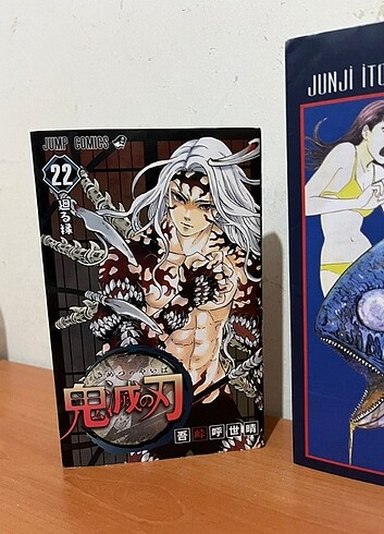  Kny japonca 