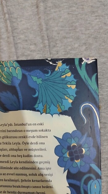  Beden Renk On dakika otuz sekiz saniye