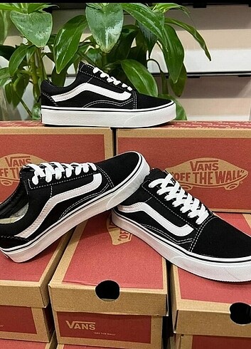 Vans. 
