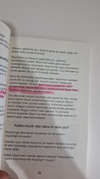 Her Şey Beyinde Başlar - Görsel 2