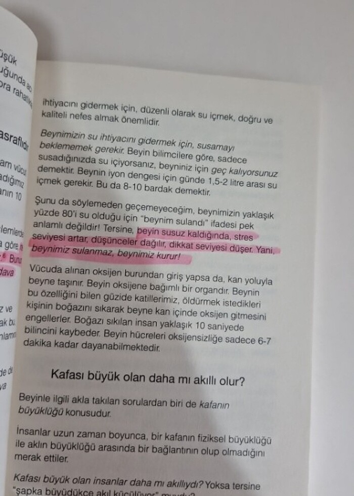 Her Şey Beyinde Başlar - Görsel 2