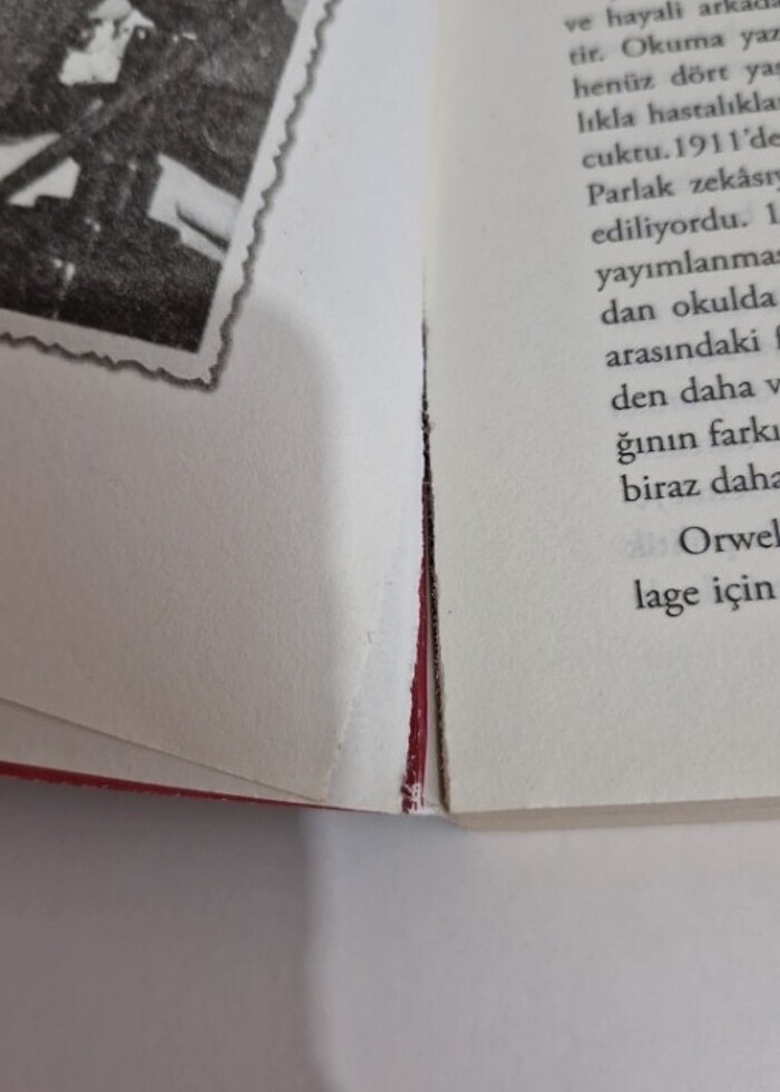 1984 george orwell - Görsel 2