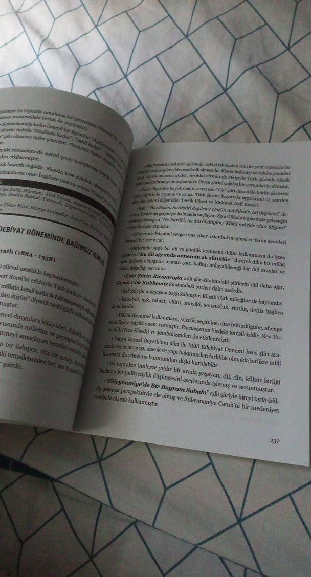 edebiyat konu anlatim - Görsel 5