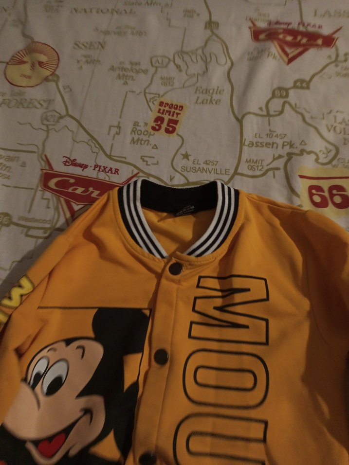 Sarı Baskılı Mickey Mouse Düğmeli Erkek Ceket - Görsel 5