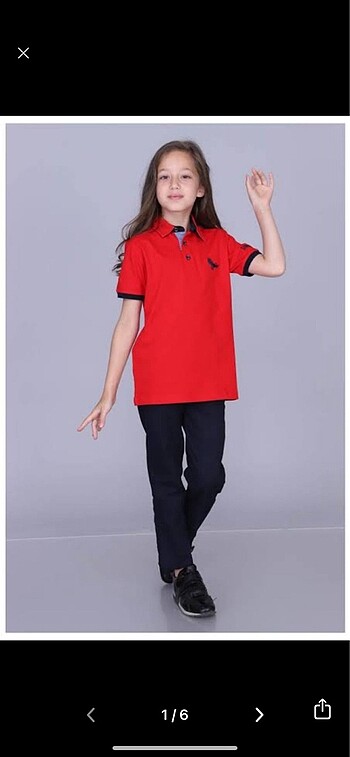 Sınav koleji lacoste Kırmızı kısa kol