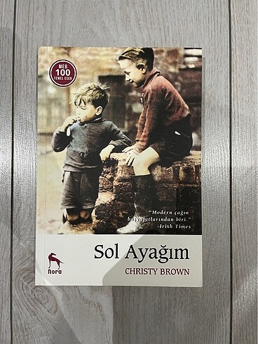 Sol ayağım kitap