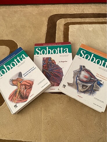 SOBOTTA anatomi kitabı