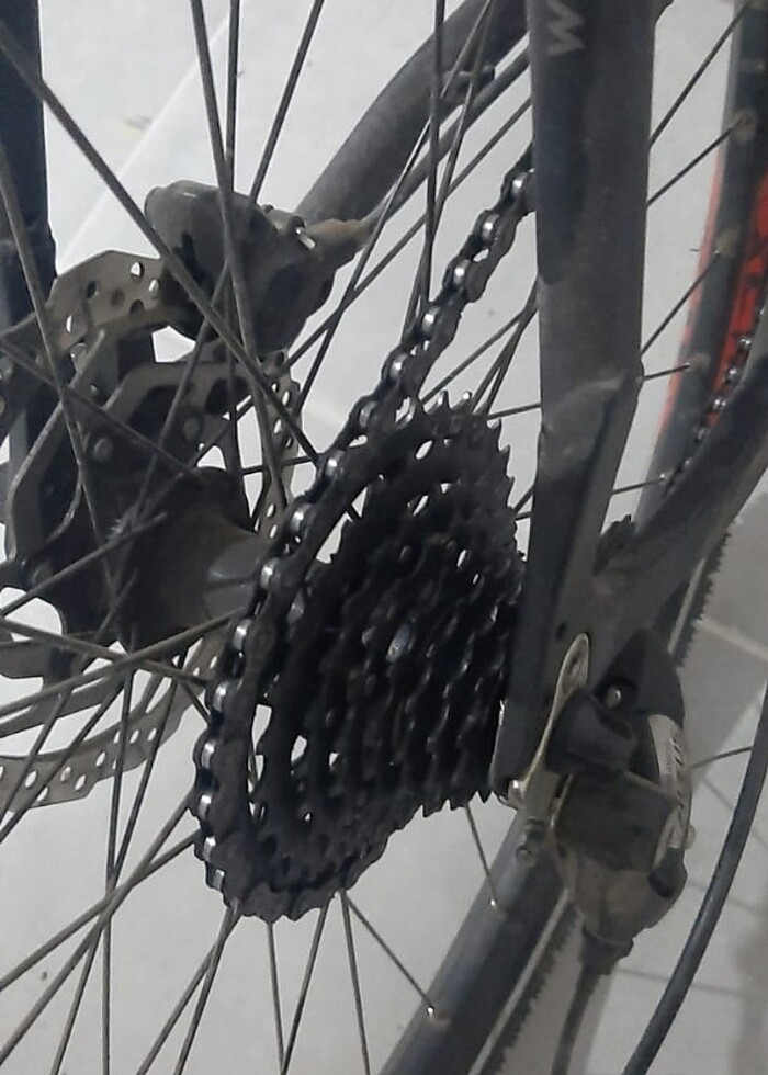 Yetişkin bisiklet  - Görsel 4