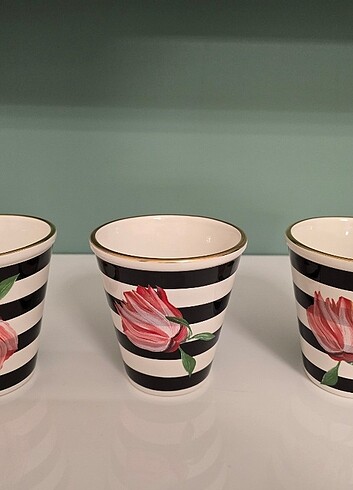  Beden çeşitli Renk Mackenzie Childs Flower Show Pots Saksı Seti