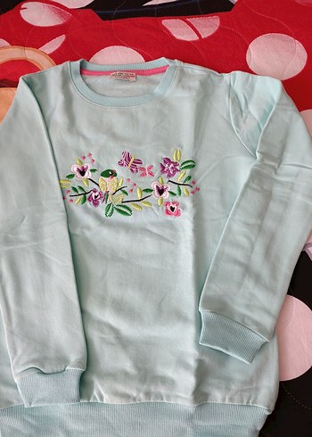 Nakışlı Renkli Kız Sweatshirt