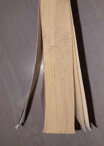 Homo Deus - Yarının Kısa Bir Tarihi - Görsel 3