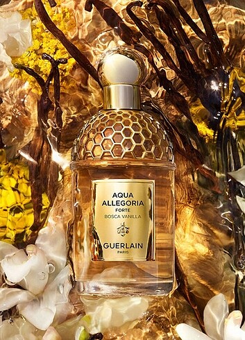 Guerlain Guerlain Aqua Allegoria Forte Bosca Vanilla 3 ml