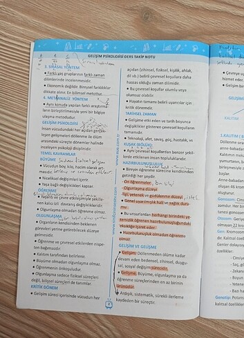 Beden Gelişim psikolojisi ders takip notu