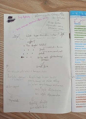 Beden Renk Gelişim psikolojisi ders takip notu