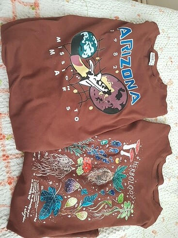 Tshirt carpe
