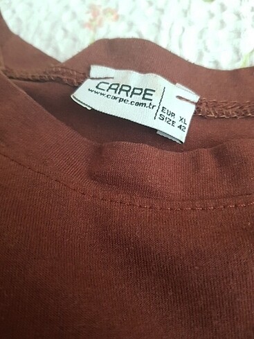 xl Beden kahverengi Renk Tshirt carpe