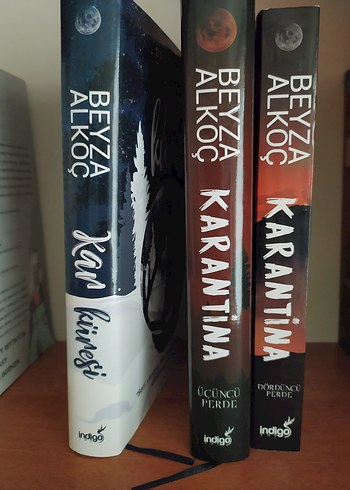 Beyza Alkoç Kitap Seti: Karantina Serisi