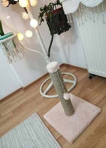 Kedi tirmalama