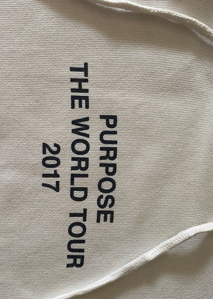 Justin Bieber 2017 koleksiyon H&M Sweatshirt - Görsel 5