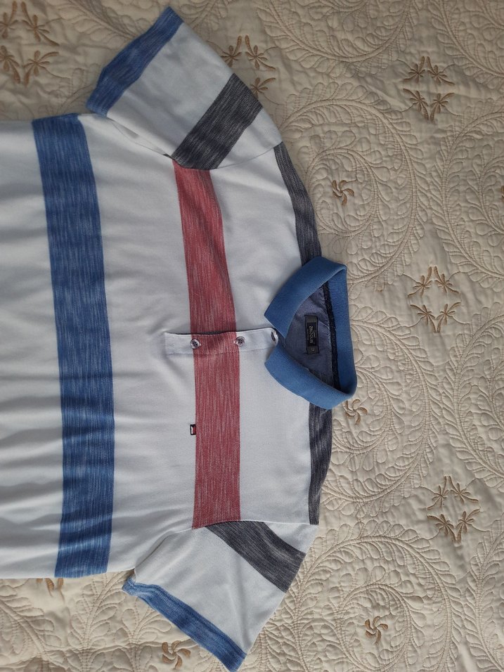 ZINZOLIN Kısa Kollu Erkek Polo Tişört (XXL) - Görsel 3